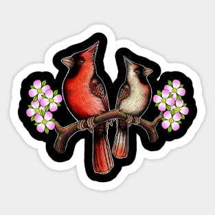 Red Cardinal dogwood flower North Carolina Virginia male female birds Sticker